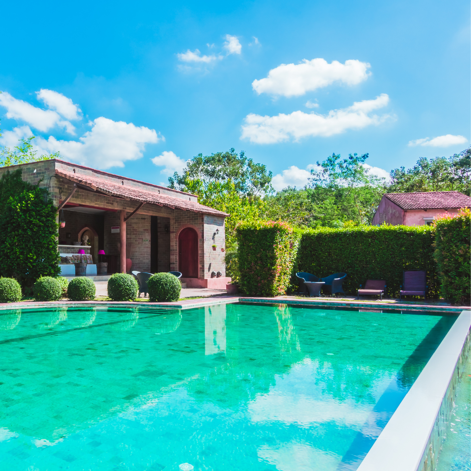 Piscina com casa e arbustos ao fundo.