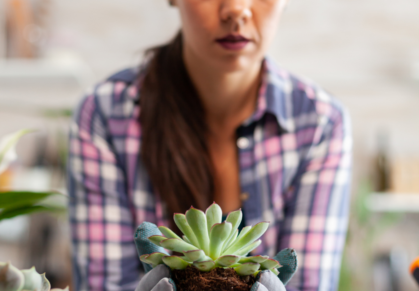 Mulher plantando planta decorativa
