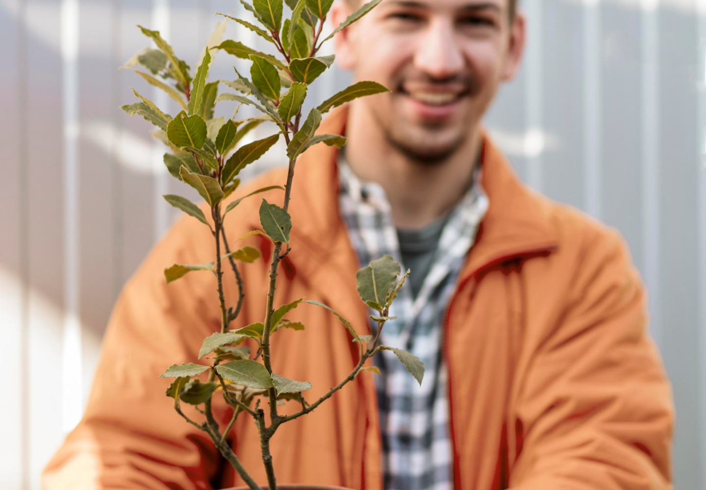 homem segurando vaso de planta