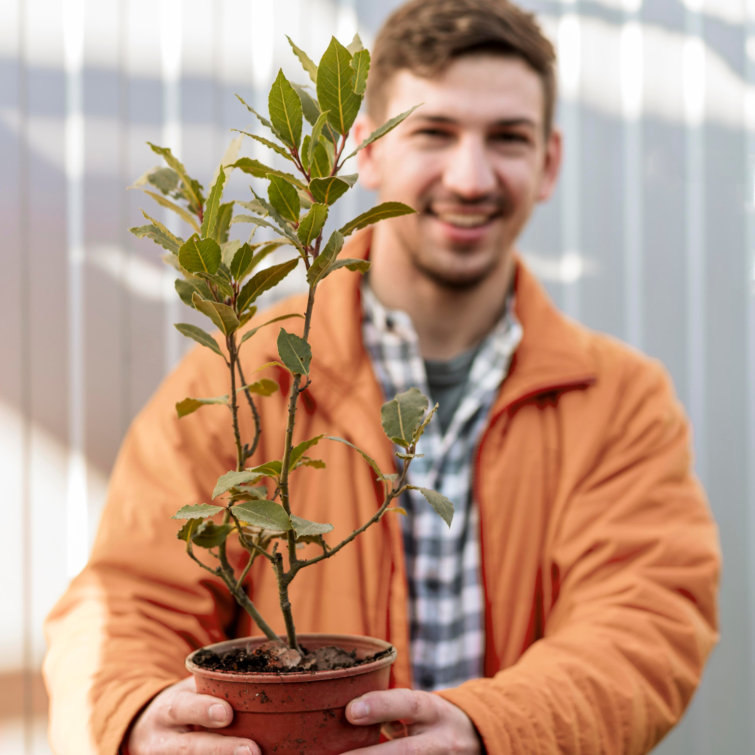 homem segurando vaso de planta