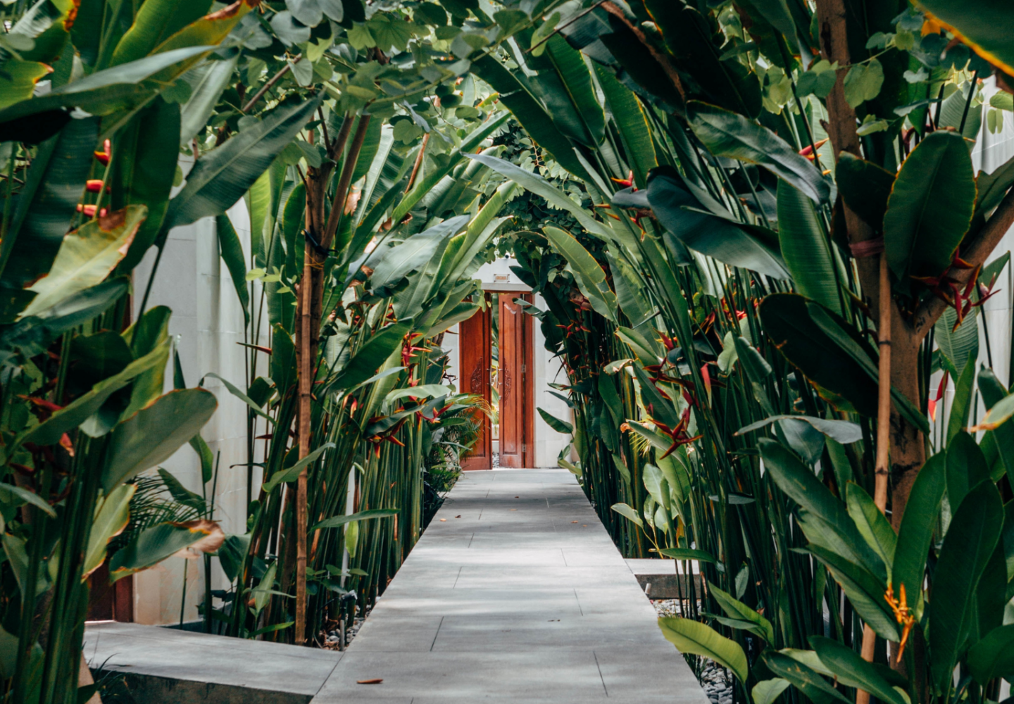 entrada com plantas