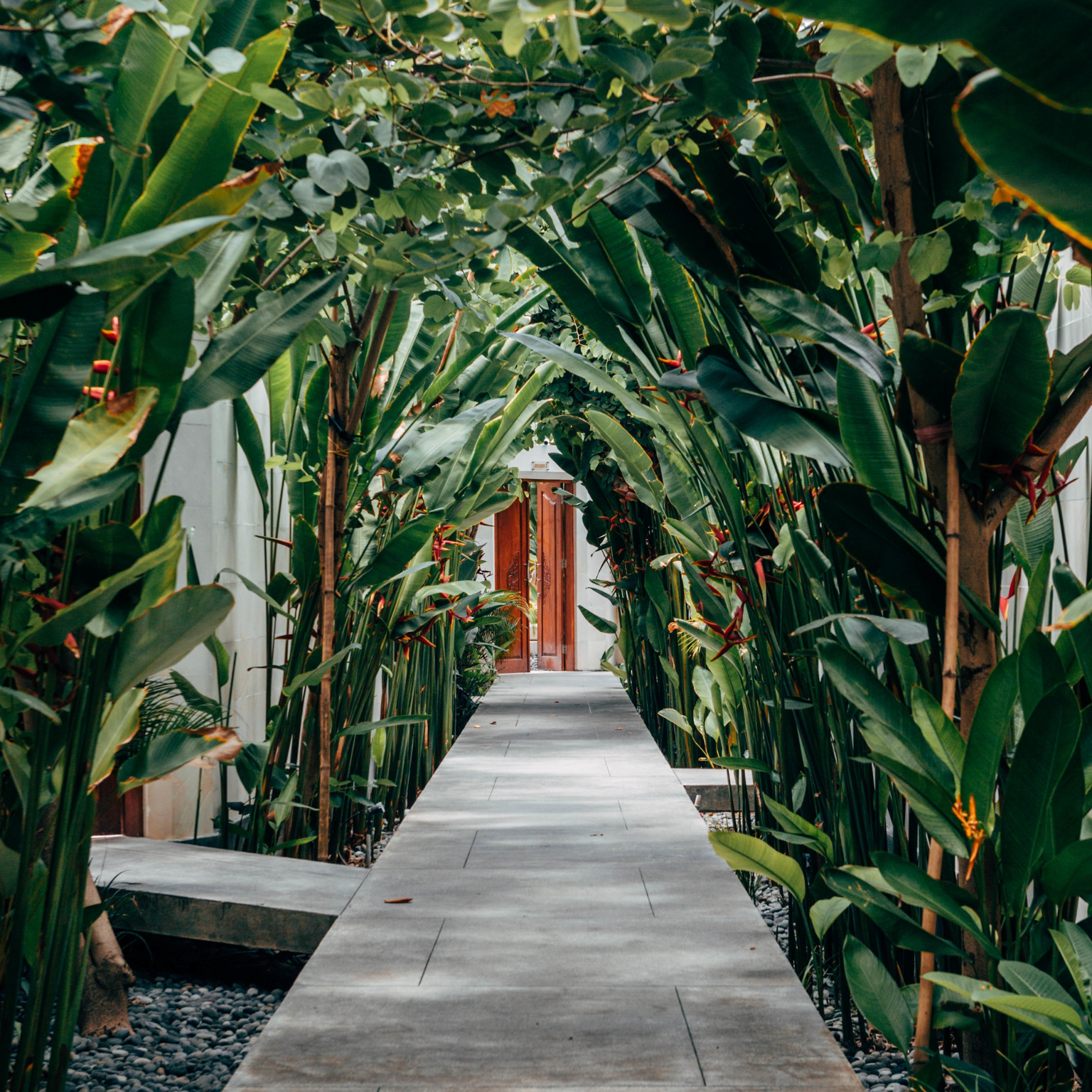entrada com plantas