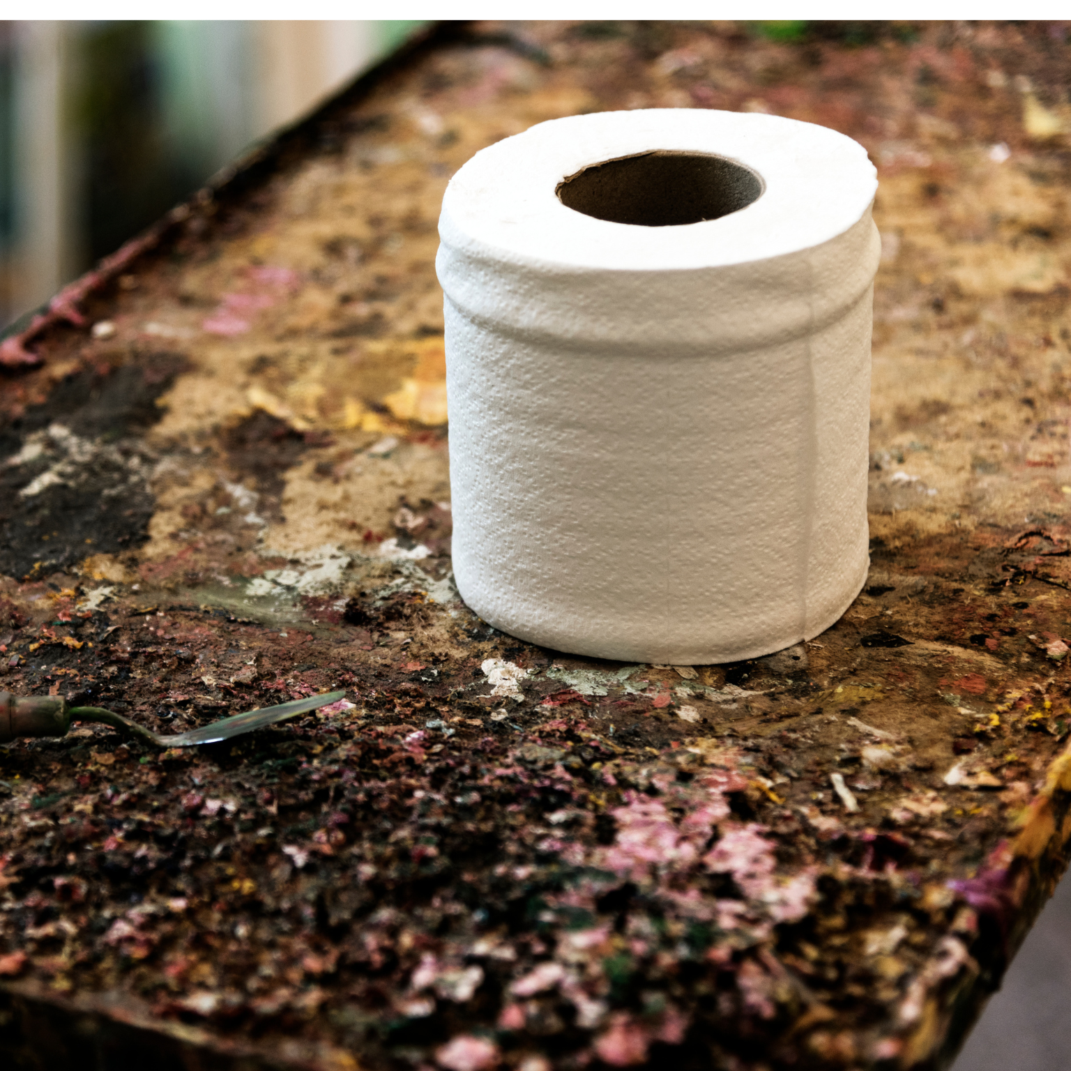 papel higiênico no solo