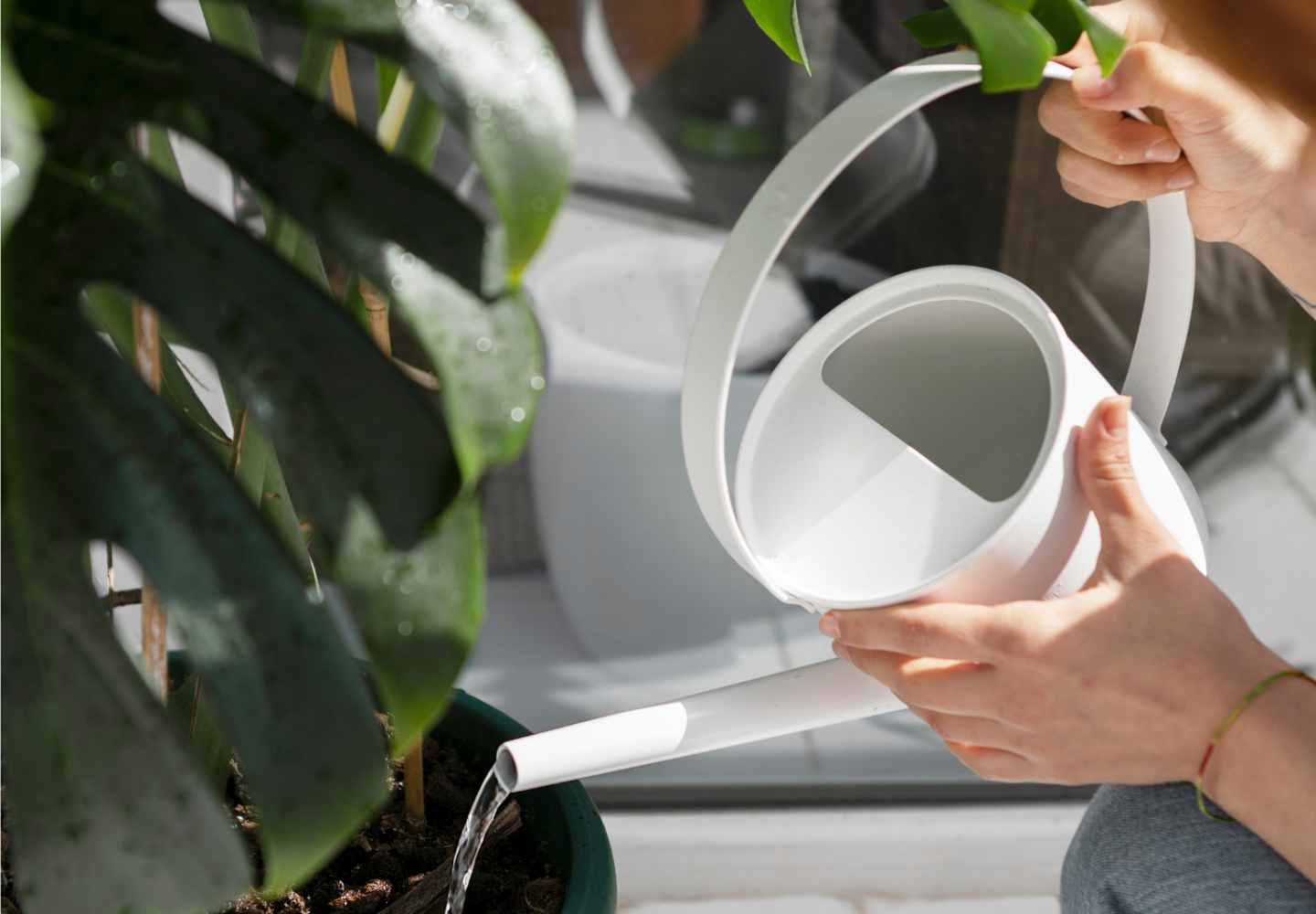 Mulher regando planta em vaso