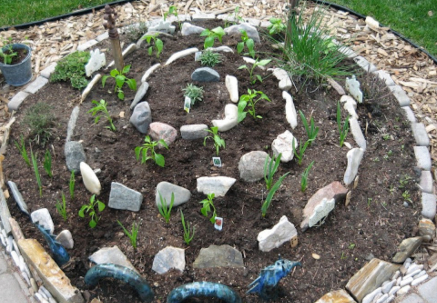 Plantação em espiral