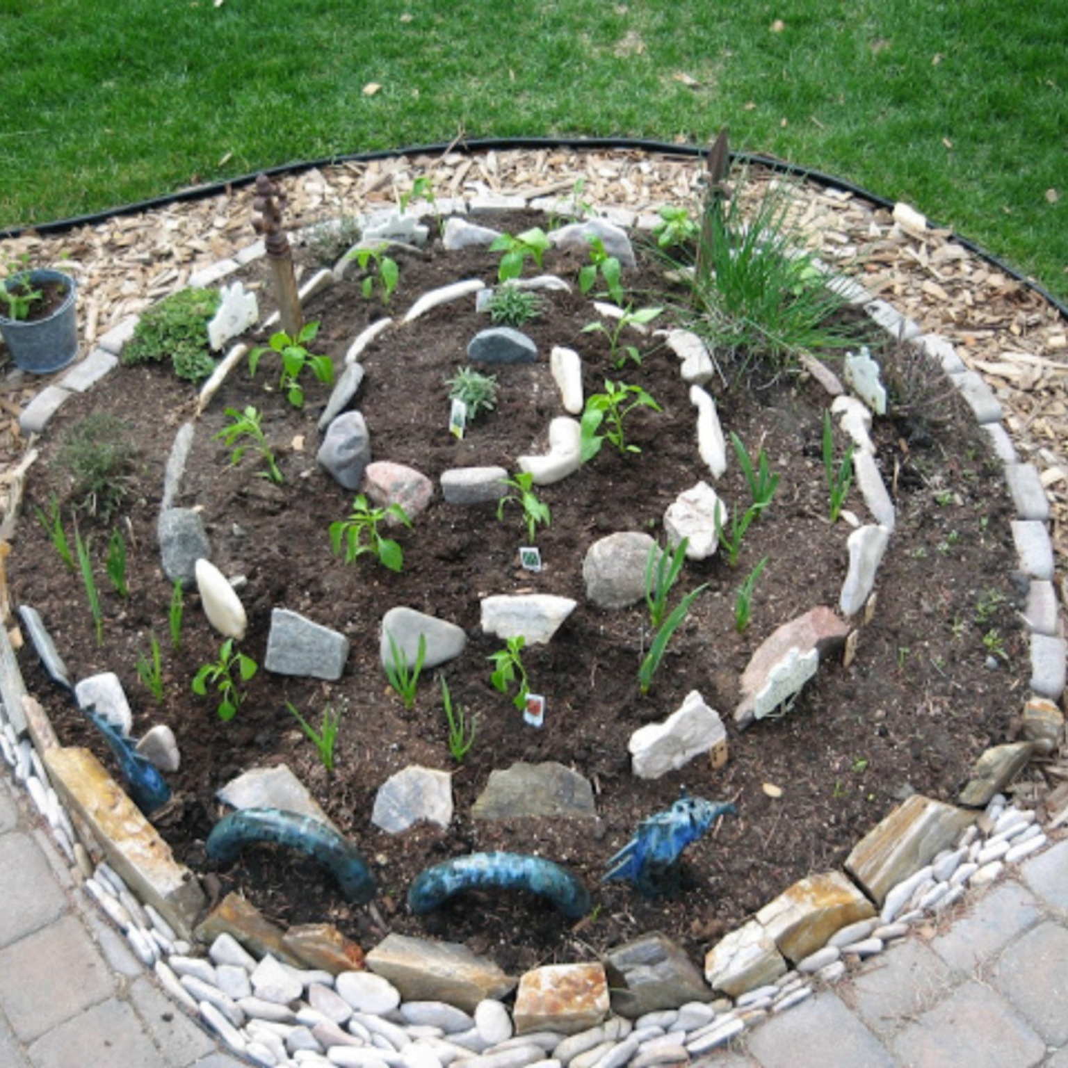 Plantação em espiral