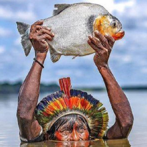 Como os Indígenas Usavam Peixes Para a Fertilização de Plantas