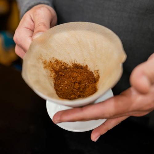Como Borra de Café Pode Dobrar o Tamanho das Folhas