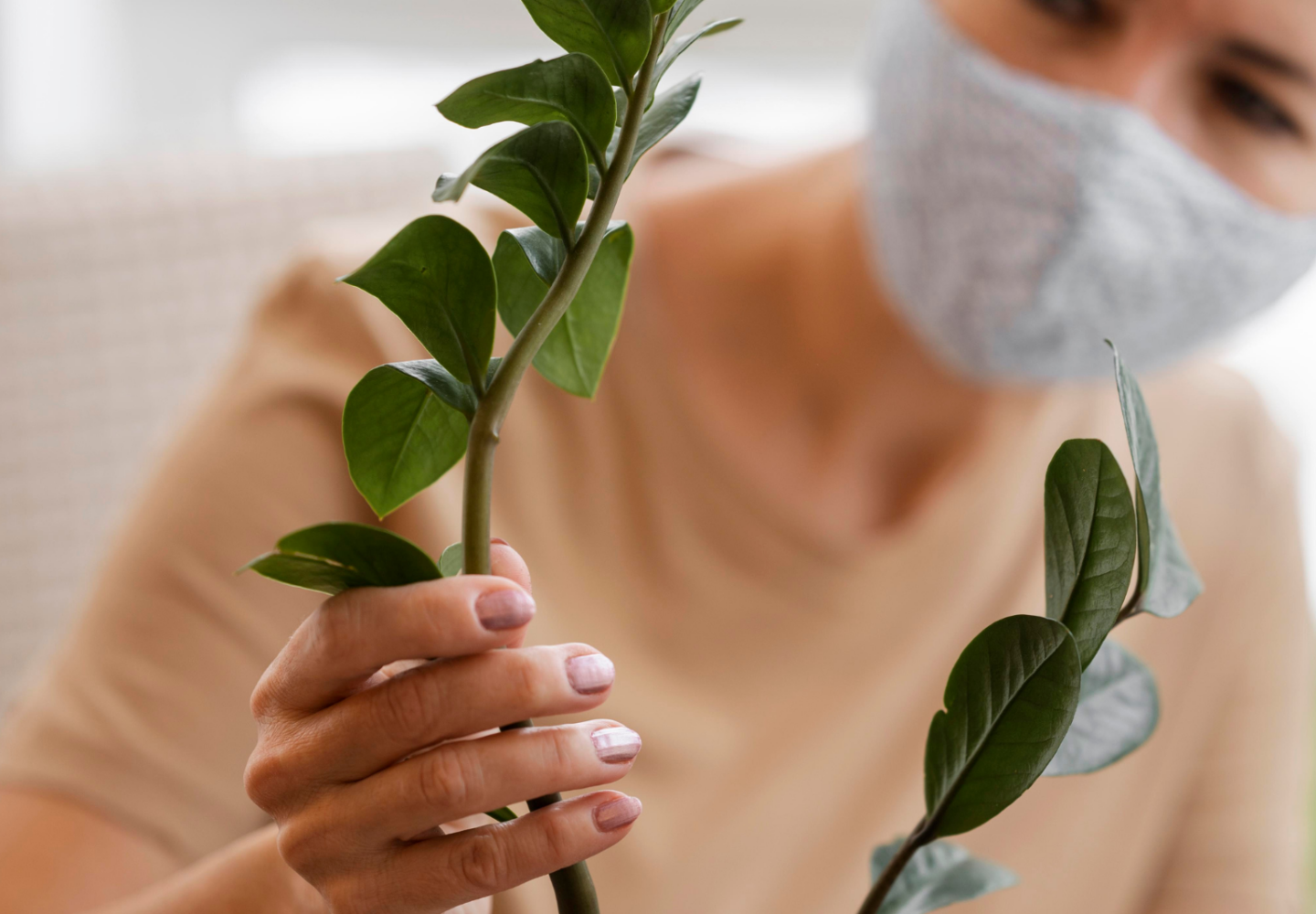 Mulher manejando planta