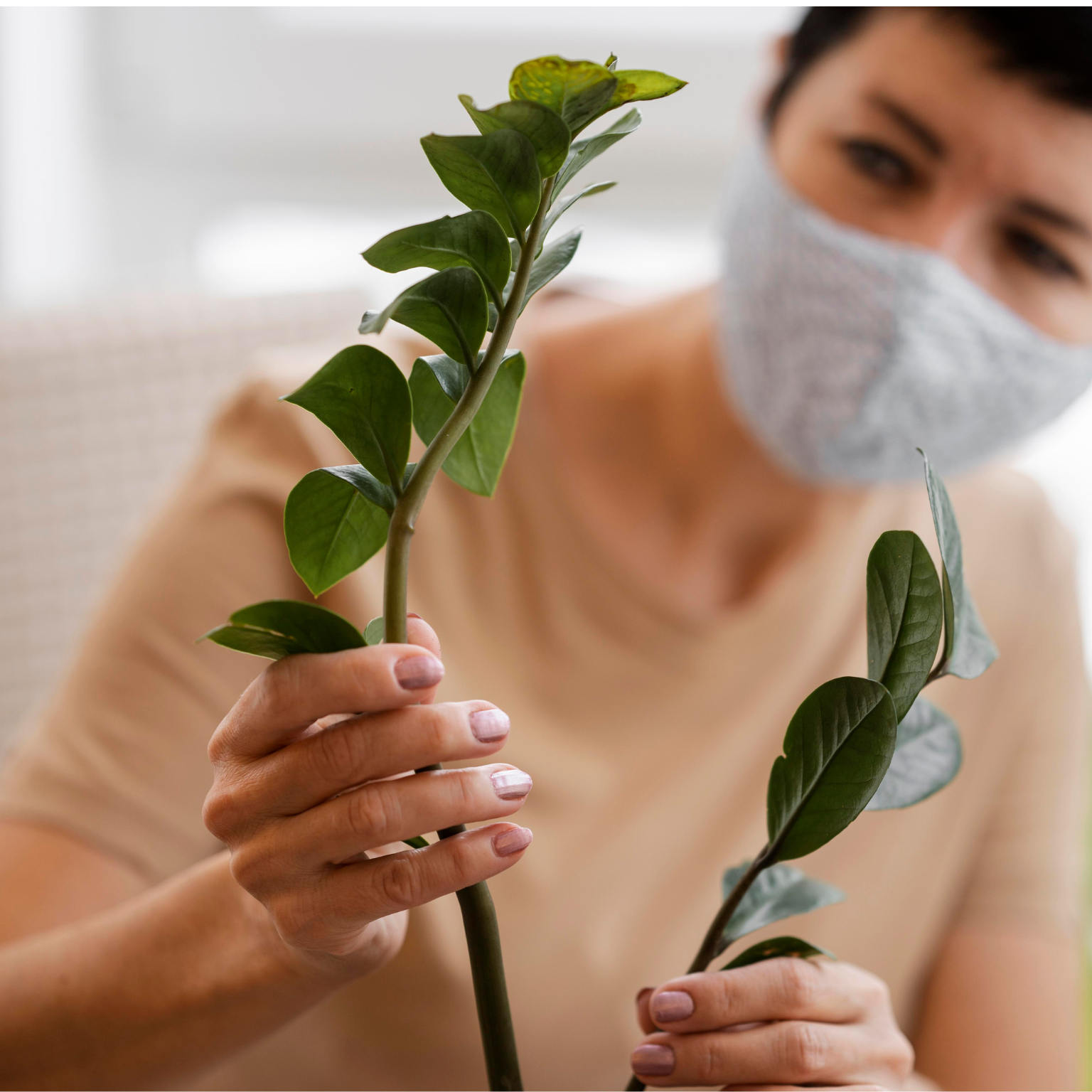 Mulher manejando planta
